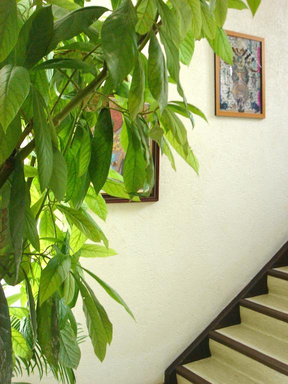 Dakini'S Bed & Breakfast Ζυρίχη Εξωτερικό φωτογραφία